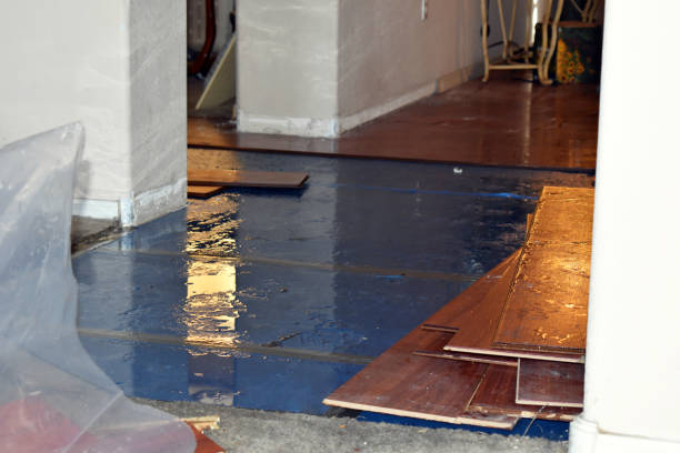 Professional Water Damage Restoration technician working in Midvale, ID